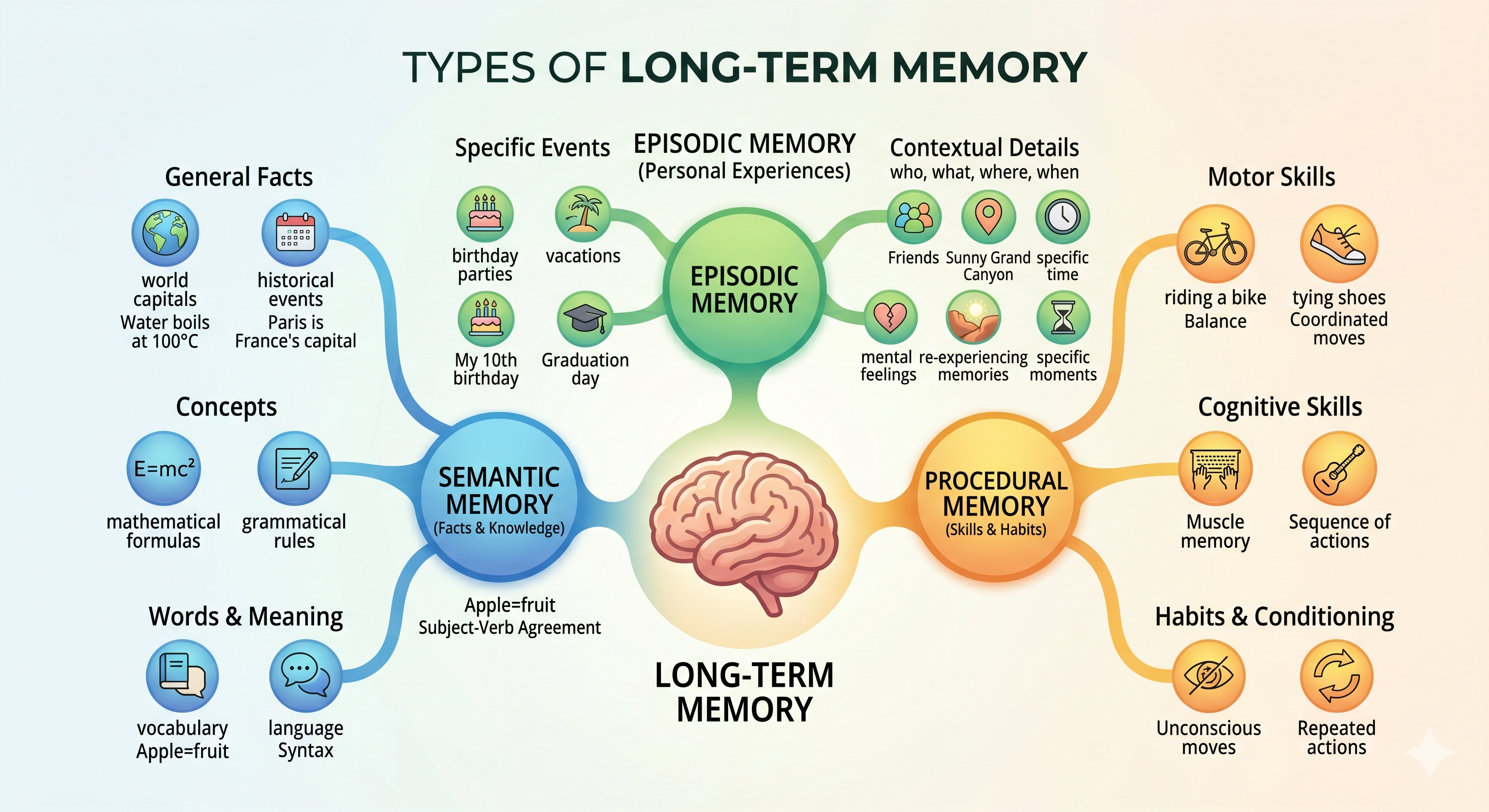 The Forgetting Problem: How Neuroscience Solves AI Memory